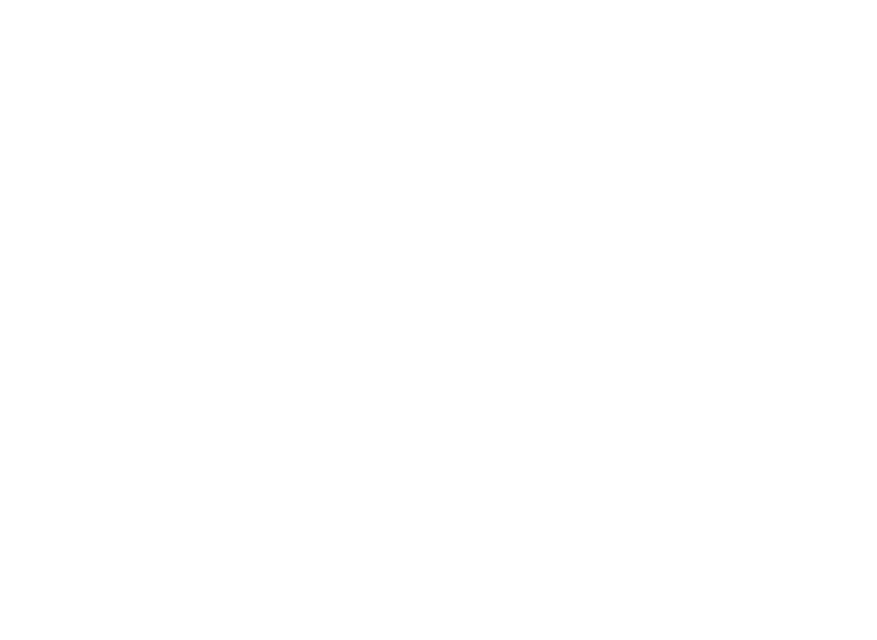Next Level Brands